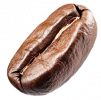 bohne1 bohne1