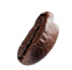 bohne3 bohne3